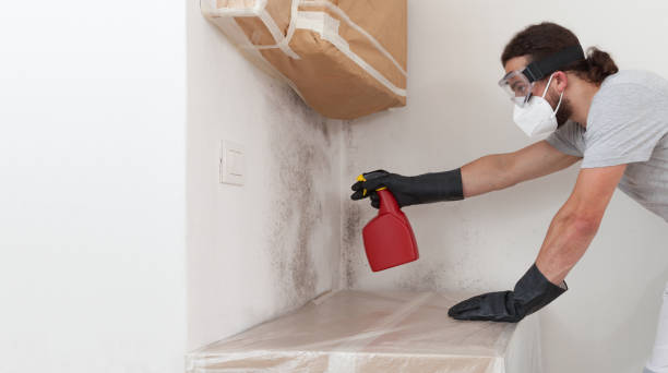 Professional Hvac And Air Duct Mold Remediation technician working in Brookline, MA